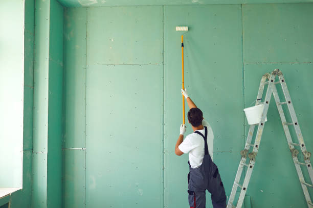 Best Attic Mold Removal  in Lake Village, AR