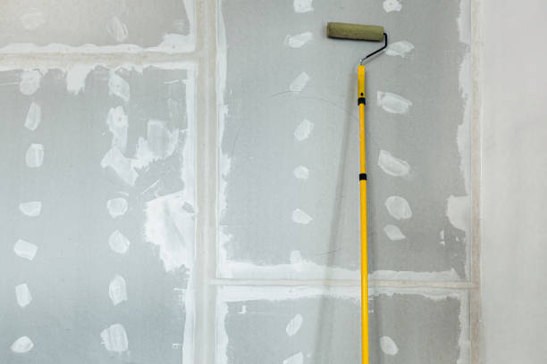 Best Black Mold Removal  in Lake Village, AR