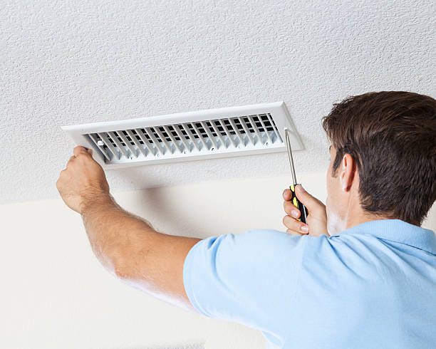Best Mold Documentation for Insurance Claims  in Lake Village, AR