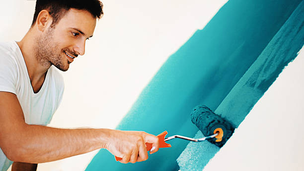 Best Basement Mold Removal  in Lake Village, AR